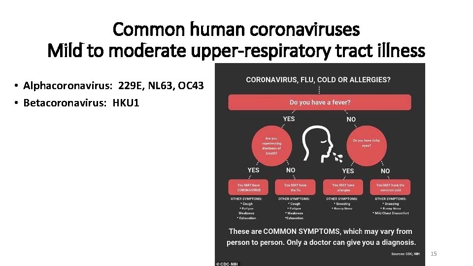 Common human coronaviruses Mild to moderate upper-respiratory tract illness • Alphacoronavirus: 229 E, NL