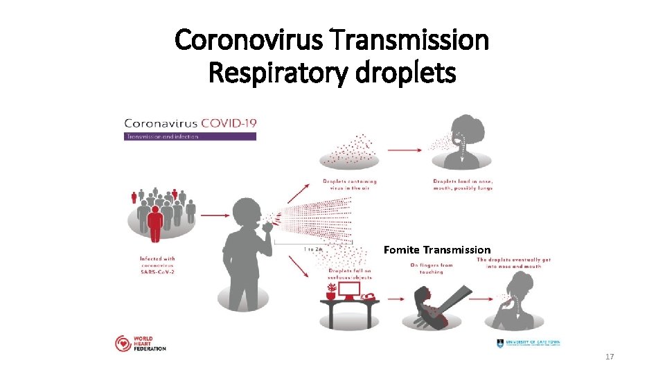 Coronovirus Transmission Respiratory droplets Fomite Transmission 17 