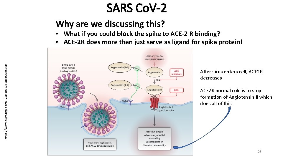 SARS Co. V-2 Why are we discussing this? https: //www. nejm. org/doi/full/10. 1056/NEJMsr 2005760