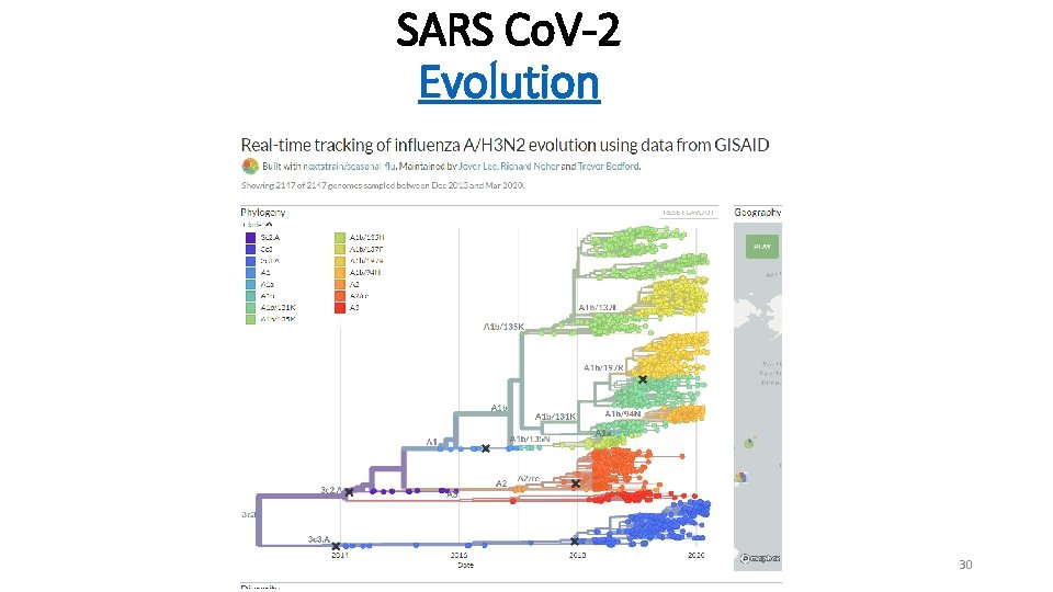 SARS Co. V-2 Evolution 30 