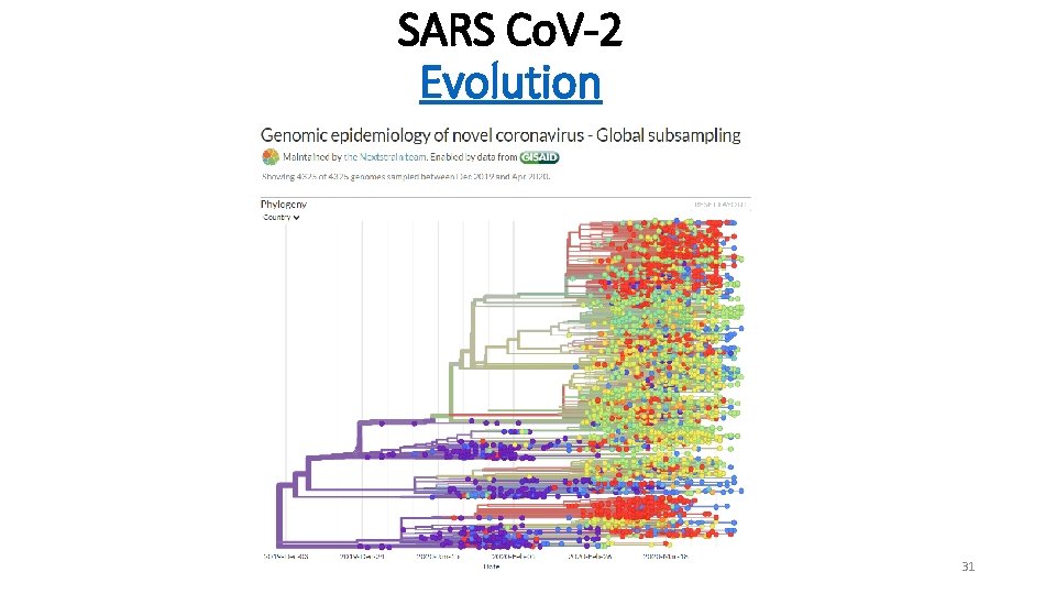 SARS Co. V-2 Evolution 31 