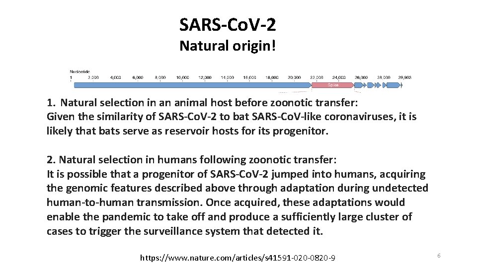 SARS-Co. V-2 Natural origin! 1. Natural selection in an animal host before zoonotic transfer:
