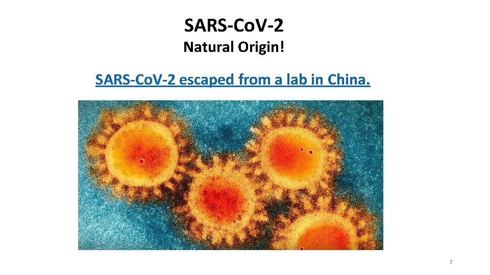 SARS-Co. V-2 Natural Origin! SARS-Co. V-2 escaped from a lab in China. 7 