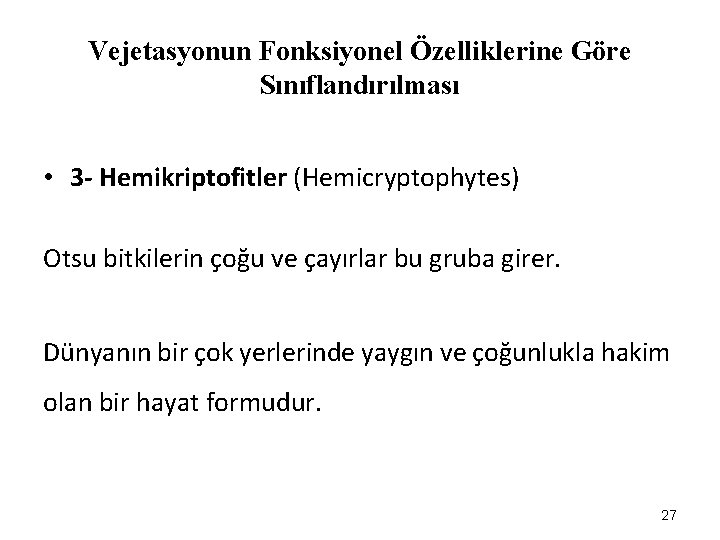 Vejetasyonun Fonksiyonel Özelliklerine Göre Sınıflandırılması • 3 - Hemikriptofitler (Hemicryptophytes) Otsu bitkilerin çoğu ve