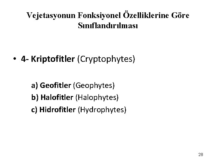 Vejetasyonun Fonksiyonel Özelliklerine Göre Sınıflandırılması • 4 - Kriptofitler (Cryptophytes) a) Geofitler (Geophytes) b)