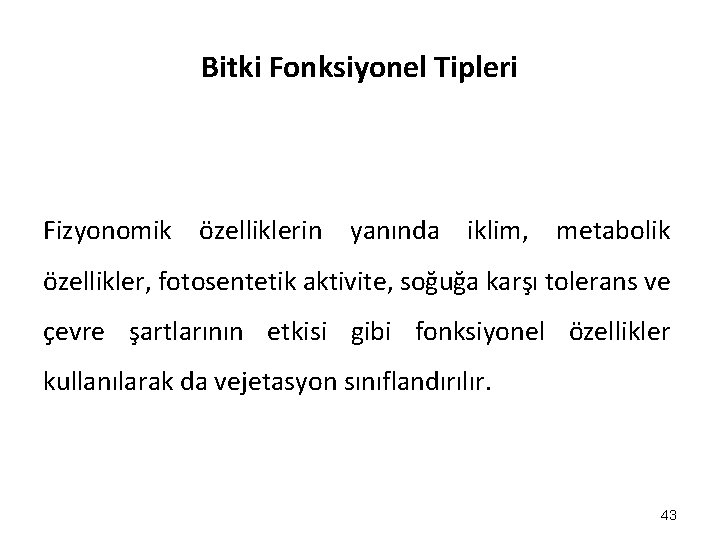 Bitki Fonksiyonel Tipleri Fizyonomik özelliklerin yanında iklim, metabolik özellikler, fotosentetik aktivite, soğuğa karşı tolerans