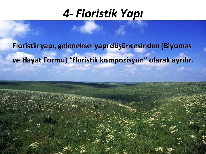 4 - Floristik Yapı Floristik yapı, geleneksel yapı düşüncesinden (Biyomas ve Hayat Formu) “floristik