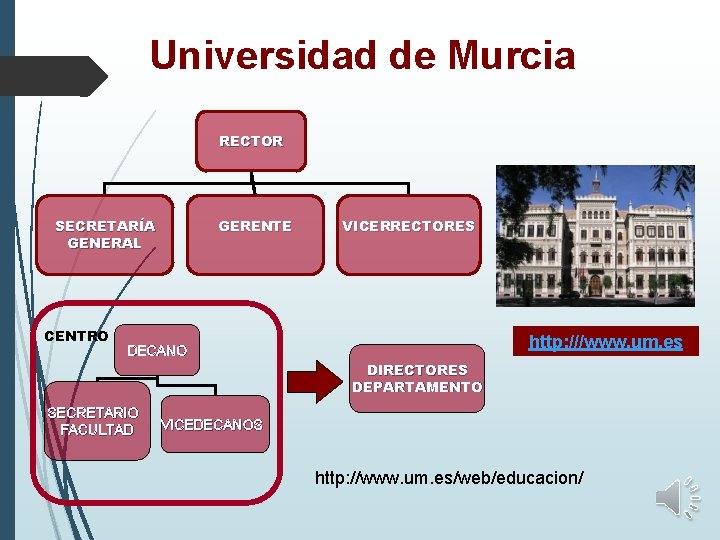 Universidad de Murcia RECTOR SECRETARÍA GENERAL CENTRO GERENTE VICERRECTORES http: ///www. um. es DECANO