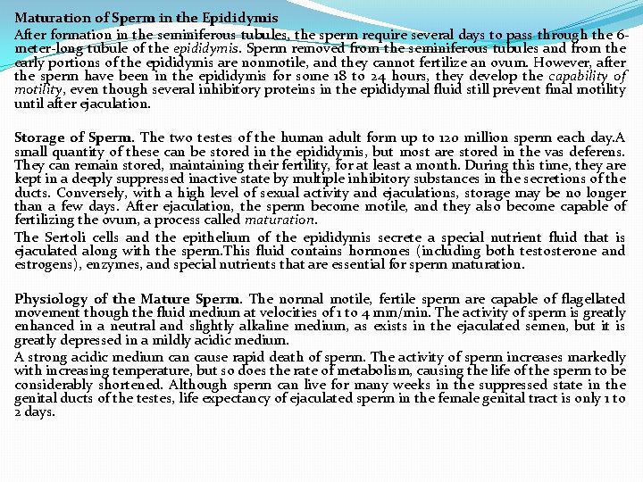 Maturation of Sperm in the Epididymis After formation in the seminiferous tubules, the sperm