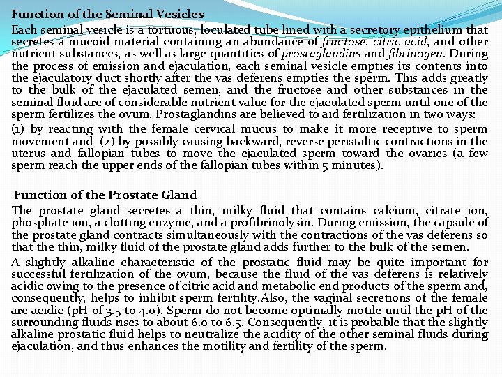 Function of the Seminal Vesicles Each seminal vesicle is a tortuous, loculated tube lined