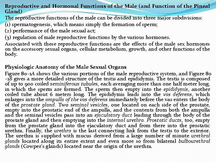 Reproductive and Hormonal Functions of the Male (and Function of the Pineal Gland) The