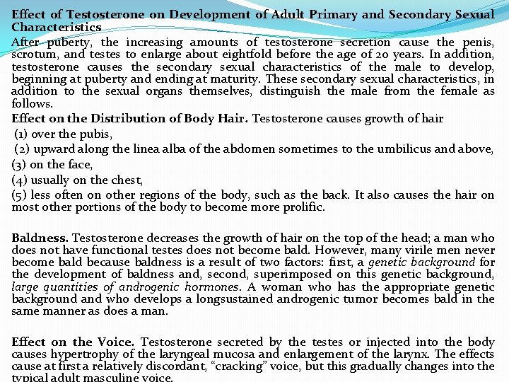 Effect of Testosterone on Development of Adult Primary and Secondary Sexual Characteristics After puberty,