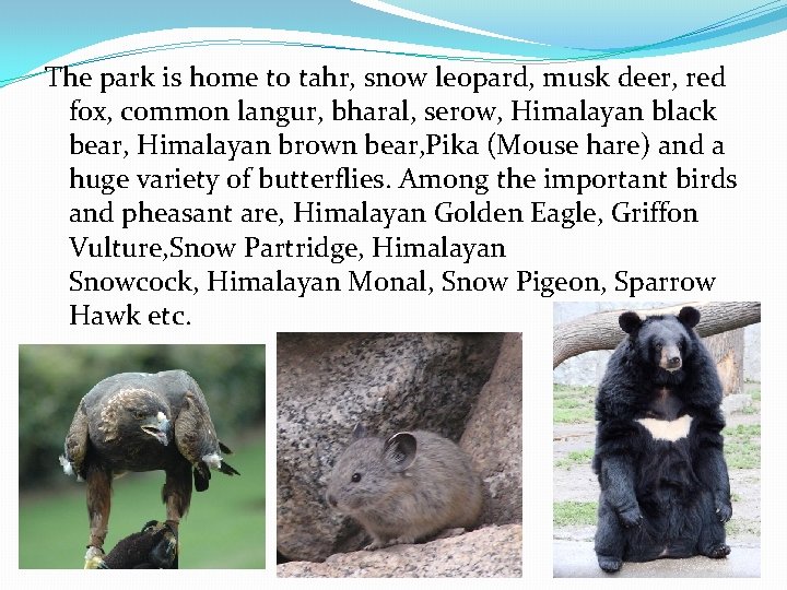The park is home to tahr, snow leopard, musk deer, red fox, common langur,