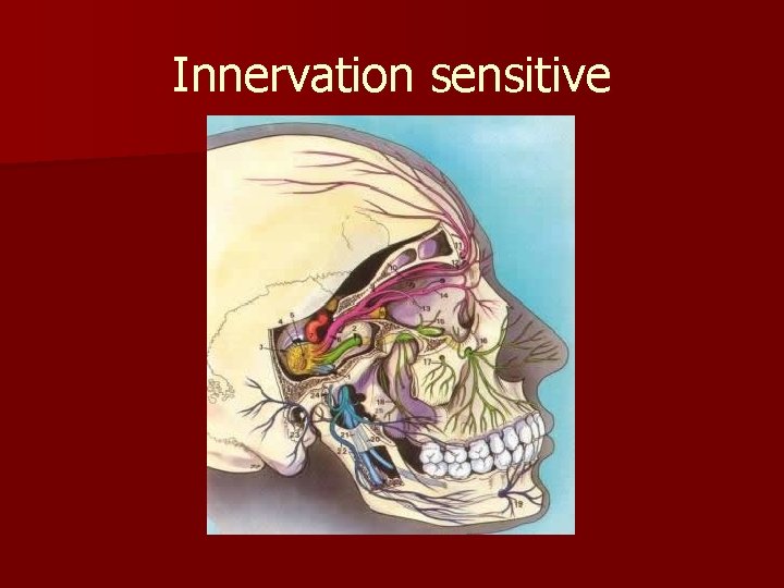 Innervation sensitive 