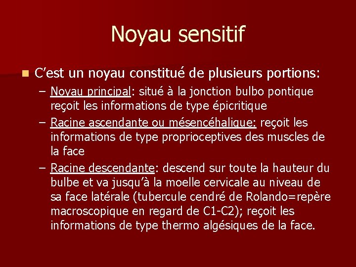 Noyau sensitif n C’est un noyau constitué de plusieurs portions: – Noyau principal: situé