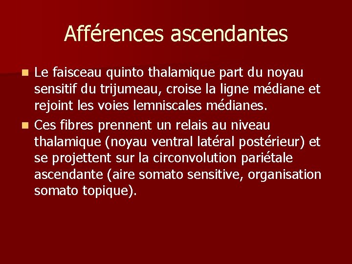 Afférences ascendantes Le faisceau quinto thalamique part du noyau sensitif du trijumeau, croise la