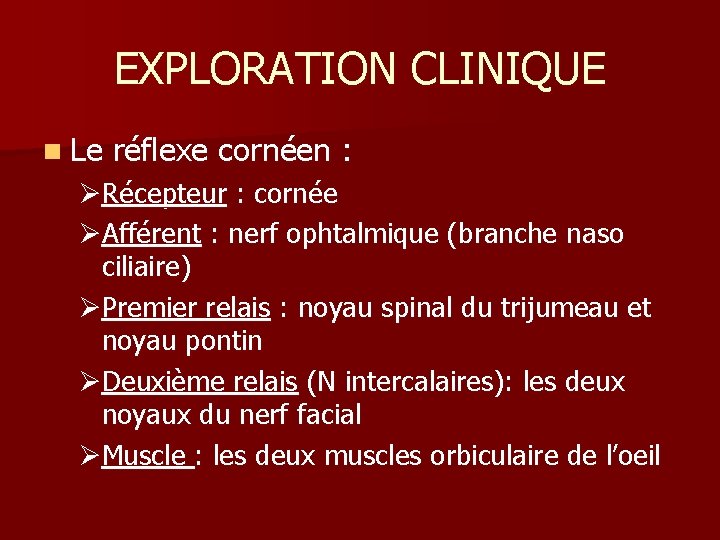 EXPLORATION CLINIQUE n Le réflexe cornéen : ØRécepteur : cornée ØAfférent : nerf ophtalmique