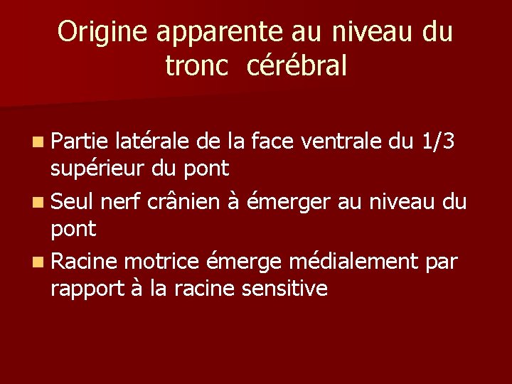 Origine apparente au niveau du tronc cérébral n Partie latérale de la face ventrale