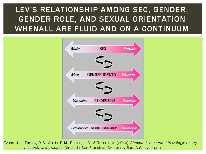 LEV’S RELATIONSHIP AMONG SEC, GENDER ROLE, AND SEXUAL ORIENTATION WHENALL ARE FLUID AND ON