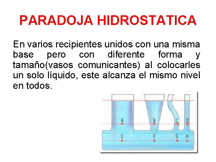 PARADOJA HIDROSTATICA En varios recipientes unidos con una misma base pero con diferente forma
