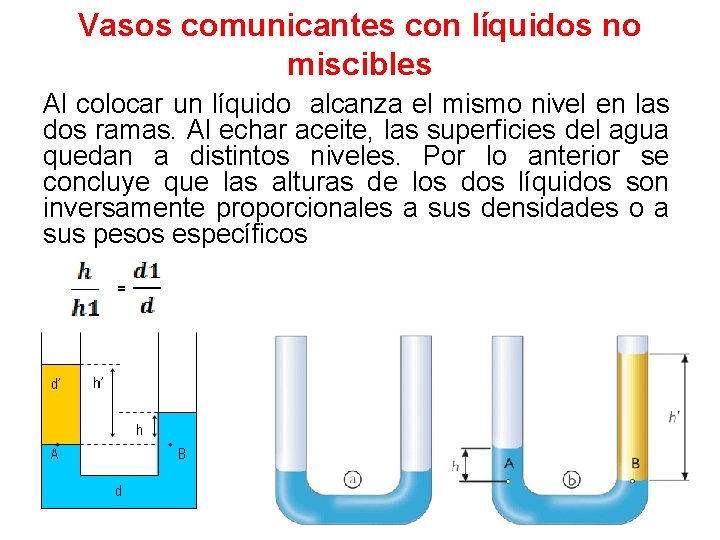 Vasos comunicantes con líquidos no miscibles Al colocar un líquido alcanza el mismo nivel