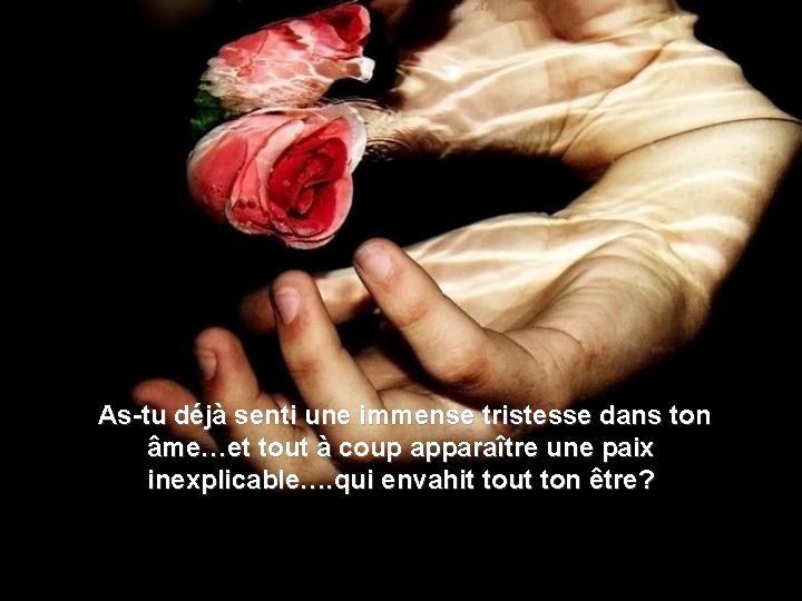 As-tu déjà senti une immense tristesse dans ton âme…et tout à coup apparaître une