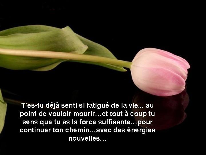 T’es-tu déjà senti si fatigué de la vie. . . au point de vouloir