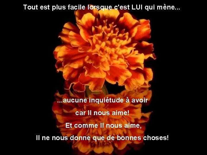 Tout est plus facile lorsque c'est LUI qui mène. . . aucune inquiétude à