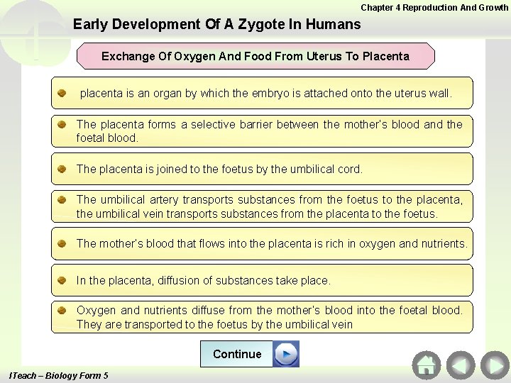 Chapter 4 Reproduction And Growth Early Development Of A Zygote In Humans Exchange Of Chapter 4 Reproduction And Growth Early Development Of A Zygote In Humans Exchange Of