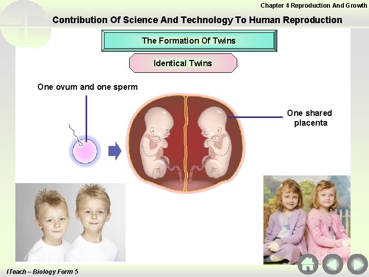 Chapter 4 Reproduction And Growth Contribution Of Science And Technology To Human Reproduction The Chapter 4 Reproduction And Growth Contribution Of Science And Technology To Human Reproduction The