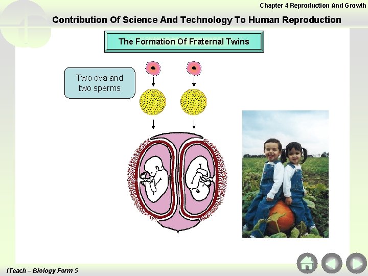 Chapter 4 Reproduction And Growth Contribution Of Science And Technology To Human Reproduction The Chapter 4 Reproduction And Growth Contribution Of Science And Technology To Human Reproduction The