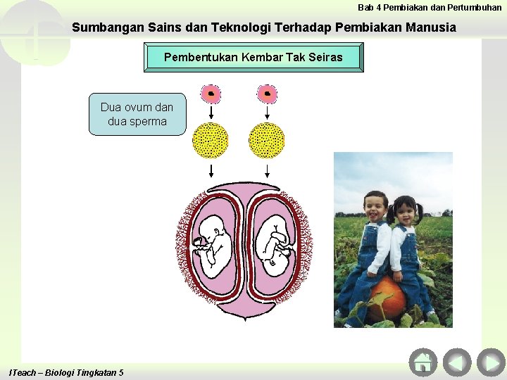 Bab 4 Pembiakan dan Pertumbuhan Sumbangan Sains dan Teknologi Terhadap Pembiakan Manusia Pembentukan Kembar Bab 4 Pembiakan dan Pertumbuhan Sumbangan Sains dan Teknologi Terhadap Pembiakan Manusia Pembentukan Kembar