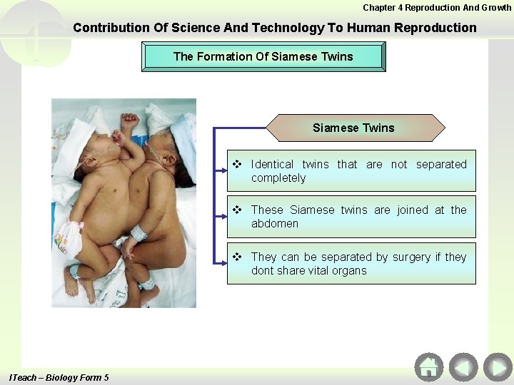 Chapter 4 Reproduction And Growth Contribution Of Science And Technology To Human Reproduction The Chapter 4 Reproduction And Growth Contribution Of Science And Technology To Human Reproduction The