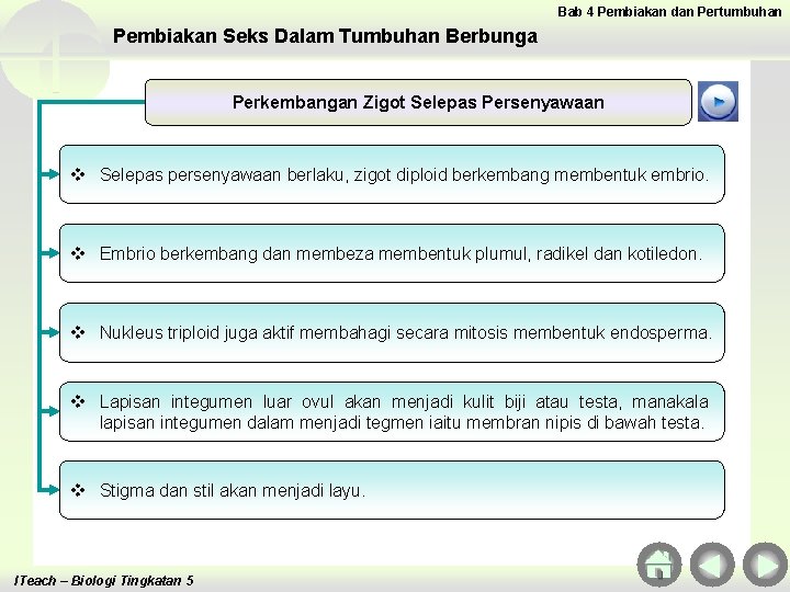 Bab 4 Pembiakan dan Pertumbuhan Pembiakan Seks Dalam Tumbuhan Berbunga Perkembangan Zigot Selepas Persenyawaan Bab 4 Pembiakan dan Pertumbuhan Pembiakan Seks Dalam Tumbuhan Berbunga Perkembangan Zigot Selepas Persenyawaan