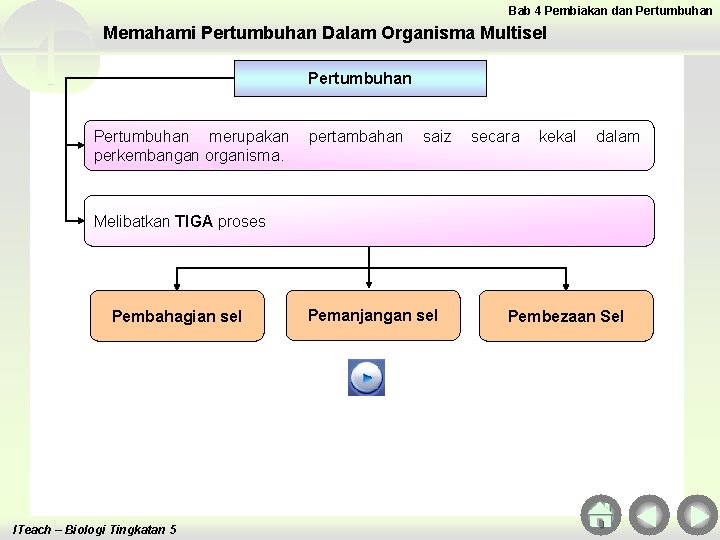 Bab 4 Pembiakan dan Pertumbuhan Memahami Pertumbuhan Dalam Organisma Multisel Pertumbuhan merupakan perkembangan organisma. Bab 4 Pembiakan dan Pertumbuhan Memahami Pertumbuhan Dalam Organisma Multisel Pertumbuhan merupakan perkembangan organisma.