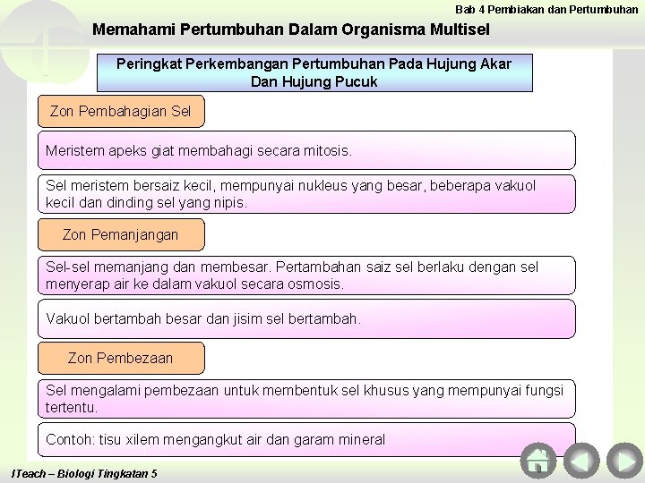 Bab 4 Pembiakan dan Pertumbuhan Memahami Pertumbuhan Dalam Organisma Multisel Peringkat Perkembangan Pertumbuhan Pada Bab 4 Pembiakan dan Pertumbuhan Memahami Pertumbuhan Dalam Organisma Multisel Peringkat Perkembangan Pertumbuhan Pada