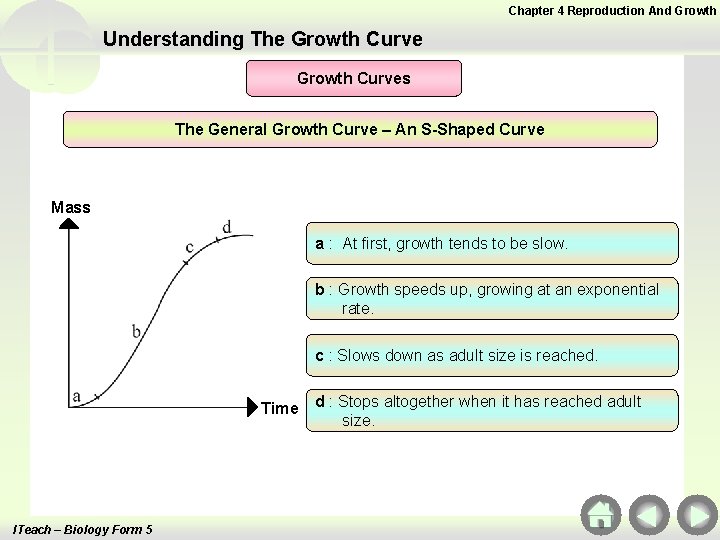 Chapter 4 Reproduction And Growth Understanding The Growth Curves The General Growth Curve – Chapter 4 Reproduction And Growth Understanding The Growth Curves The General Growth Curve –