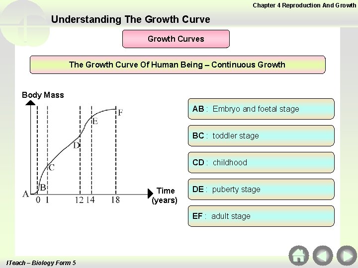Chapter 4 Reproduction And Growth Understanding The Growth Curves The Growth Curve Of Human Chapter 4 Reproduction And Growth Understanding The Growth Curves The Growth Curve Of Human