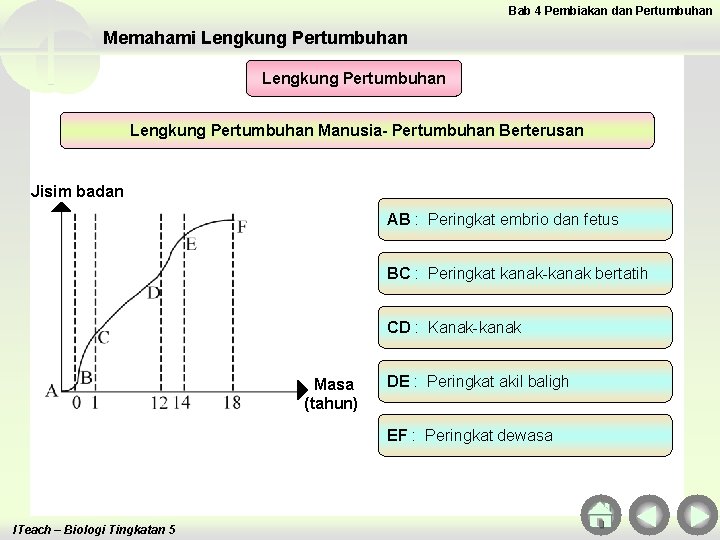 Bab 4 Pembiakan dan Pertumbuhan Memahami Lengkung Pertumbuhan Manusia- Pertumbuhan Berterusan Jisim badan AB Bab 4 Pembiakan dan Pertumbuhan Memahami Lengkung Pertumbuhan Manusia- Pertumbuhan Berterusan Jisim badan AB