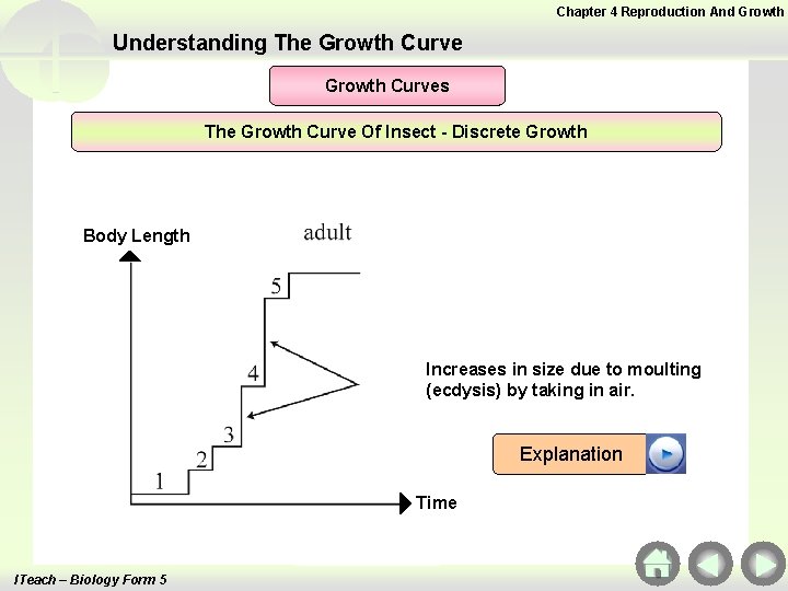 Chapter 4 Reproduction And Growth Understanding The Growth Curves The Growth Curve Of Insect Chapter 4 Reproduction And Growth Understanding The Growth Curves The Growth Curve Of Insect