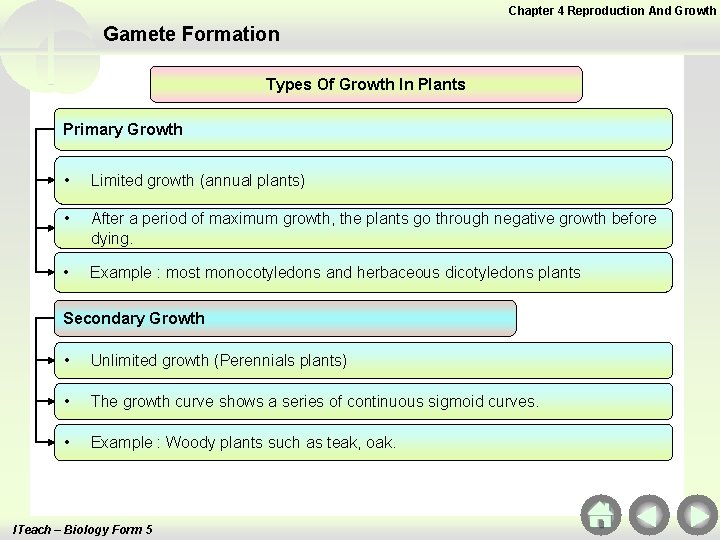 Chapter 4 Reproduction And Growth Gamete Formation Types Of Growth In Plants Primary Growth Chapter 4 Reproduction And Growth Gamete Formation Types Of Growth In Plants Primary Growth