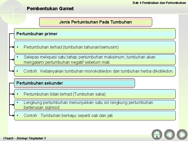 Bab 4 Pembiakan dan Pertumbuhan Pembentukan Gamet Jenis Pertumbuhan Pada Tumbuhan Pertumbuhan primer • Bab 4 Pembiakan dan Pertumbuhan Pembentukan Gamet Jenis Pertumbuhan Pada Tumbuhan Pertumbuhan primer •