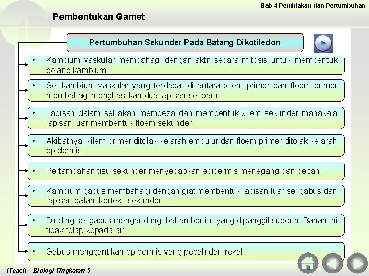 Bab 4 Pembiakan dan Pertumbuhan Pembentukan Gamet Pertumbuhan Sekunder Pada Batang Dikotiledon • Kambium Bab 4 Pembiakan dan Pertumbuhan Pembentukan Gamet Pertumbuhan Sekunder Pada Batang Dikotiledon • Kambium