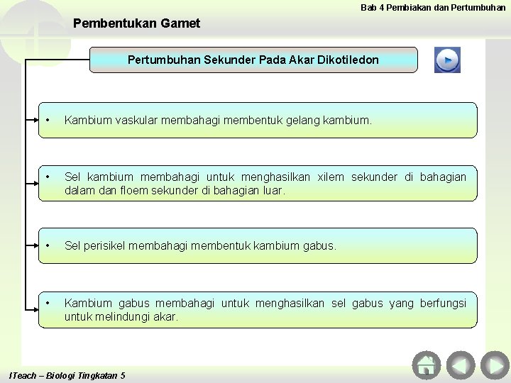 Bab 4 Pembiakan dan Pertumbuhan Pembentukan Gamet Pertumbuhan Sekunder Pada Akar Dikotiledon • Kambium Bab 4 Pembiakan dan Pertumbuhan Pembentukan Gamet Pertumbuhan Sekunder Pada Akar Dikotiledon • Kambium