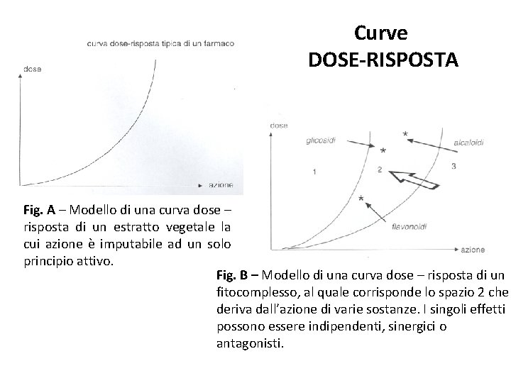 Curve DOSE-RISPOSTA Fig. A – Modello di una curva dose – risposta di un