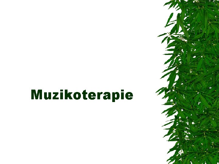 Muzikoterapie 