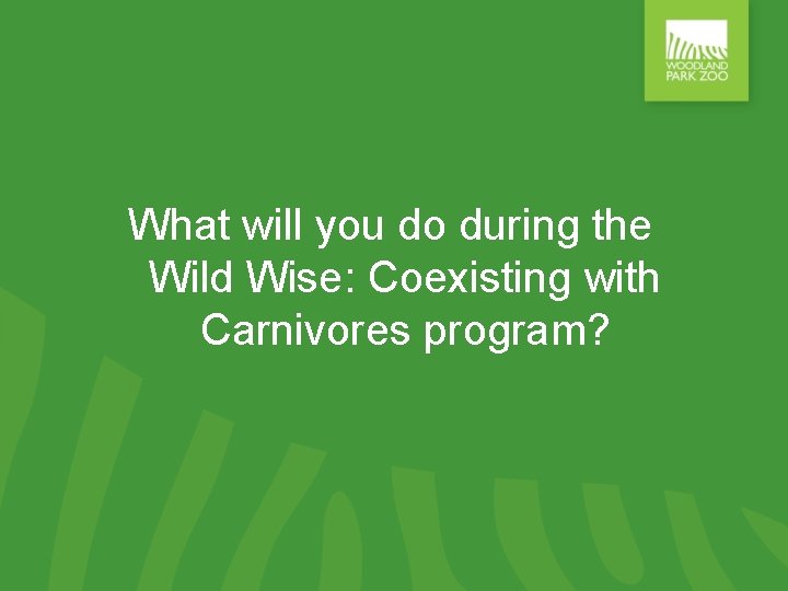 What will you do during the Wild Wise: Coexisting with Carnivores program? 