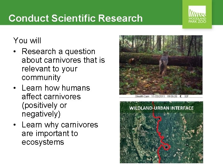 Conduct Scientific Research You will • Research a question about carnivores that is relevant