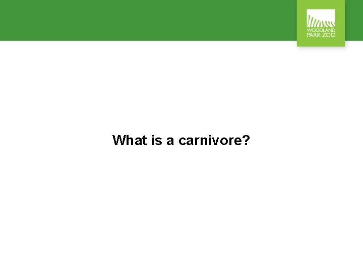 What is a carnivore? 