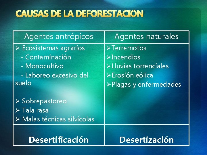 CAUSAS DE LA DEFORESTACIÓN Agentes antrópicos Ø Ecosistemas agrarios - Contaminación - Monocultivo -